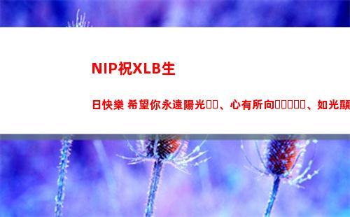 NIP祝XLB生日快樂 希望你永遠陽光、心有所向、如光顯鋒芒